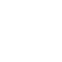 Emergency Icon